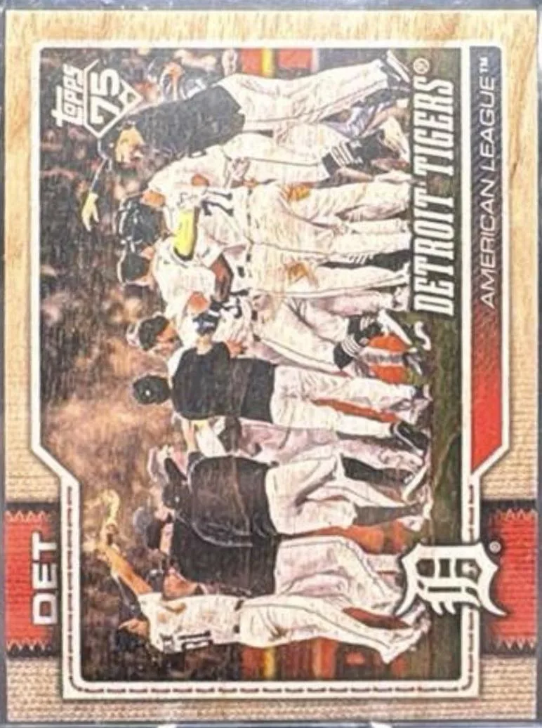 Detroit Tigers #262