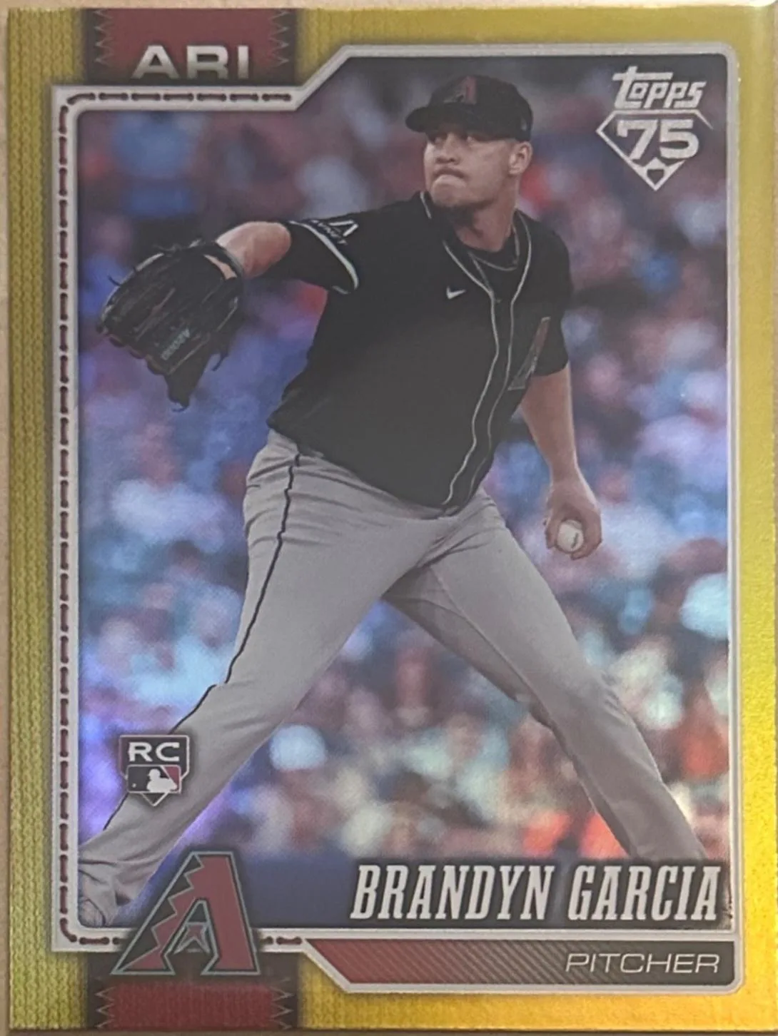 Brandyn Garcia #163