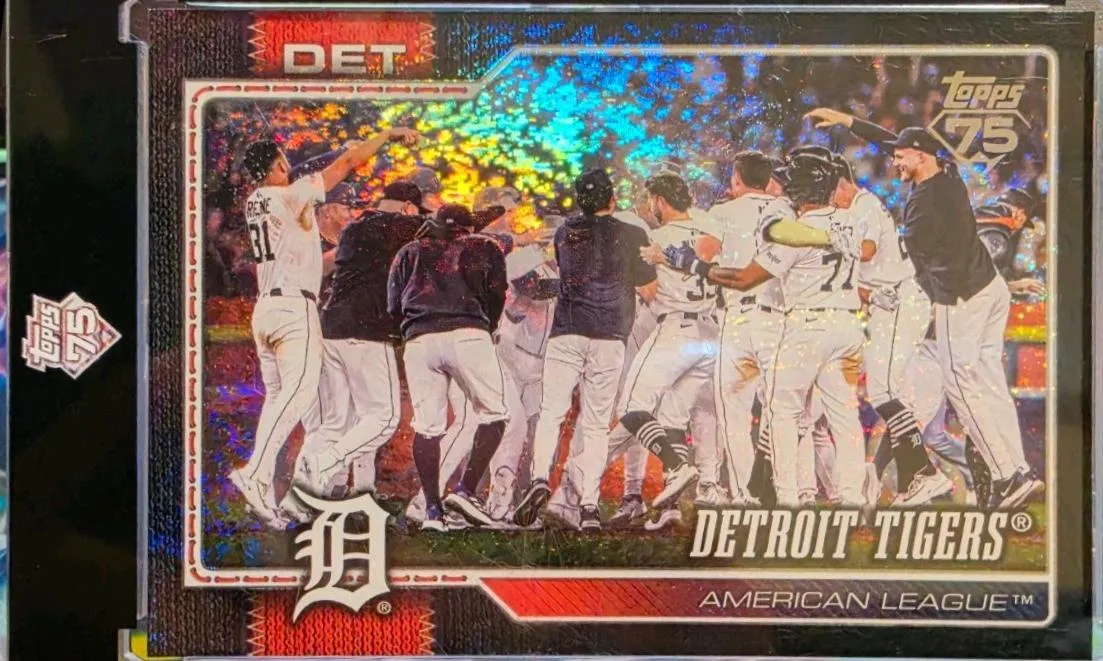 Detroit Tigers #262