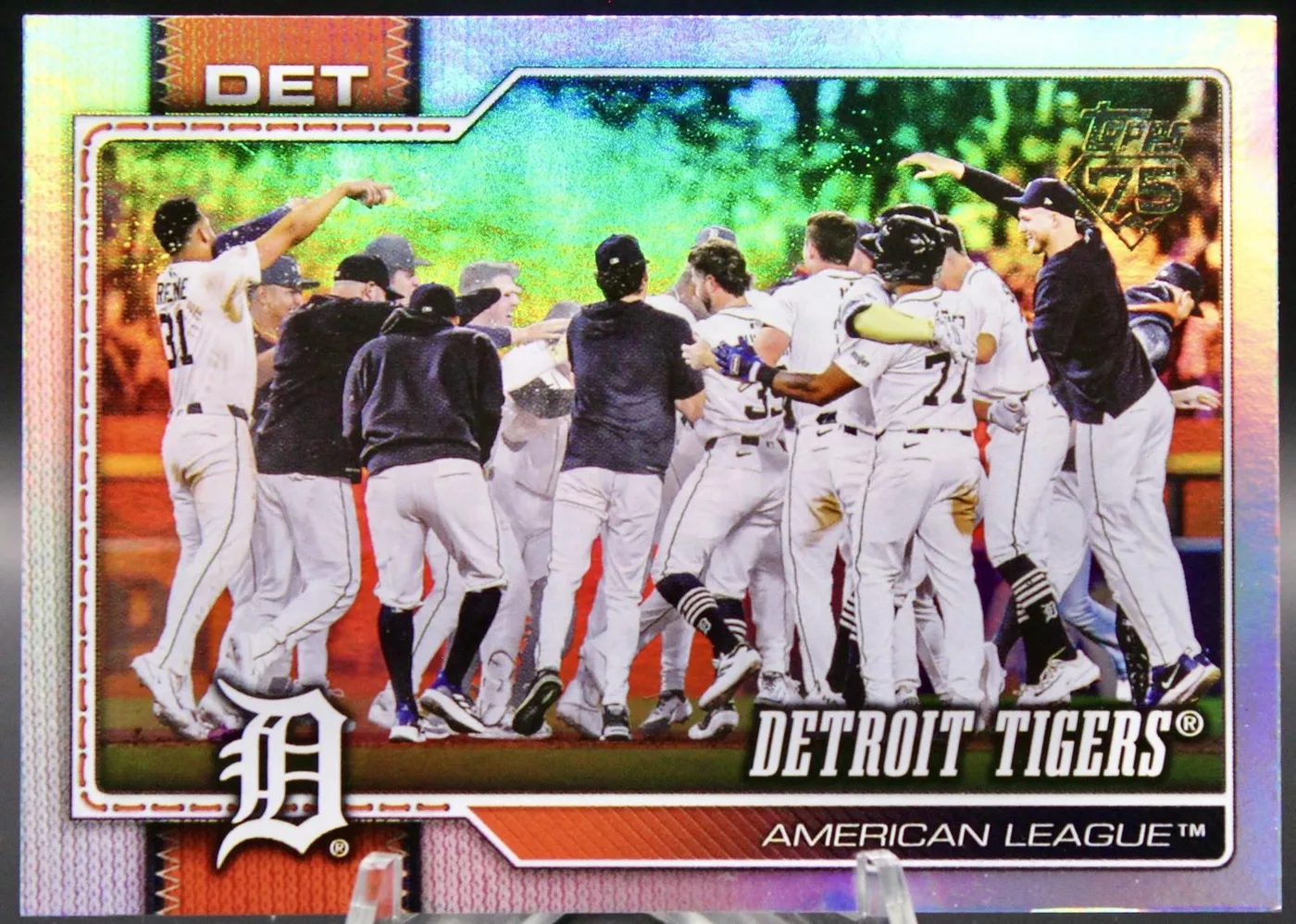Detroit Tigers #262