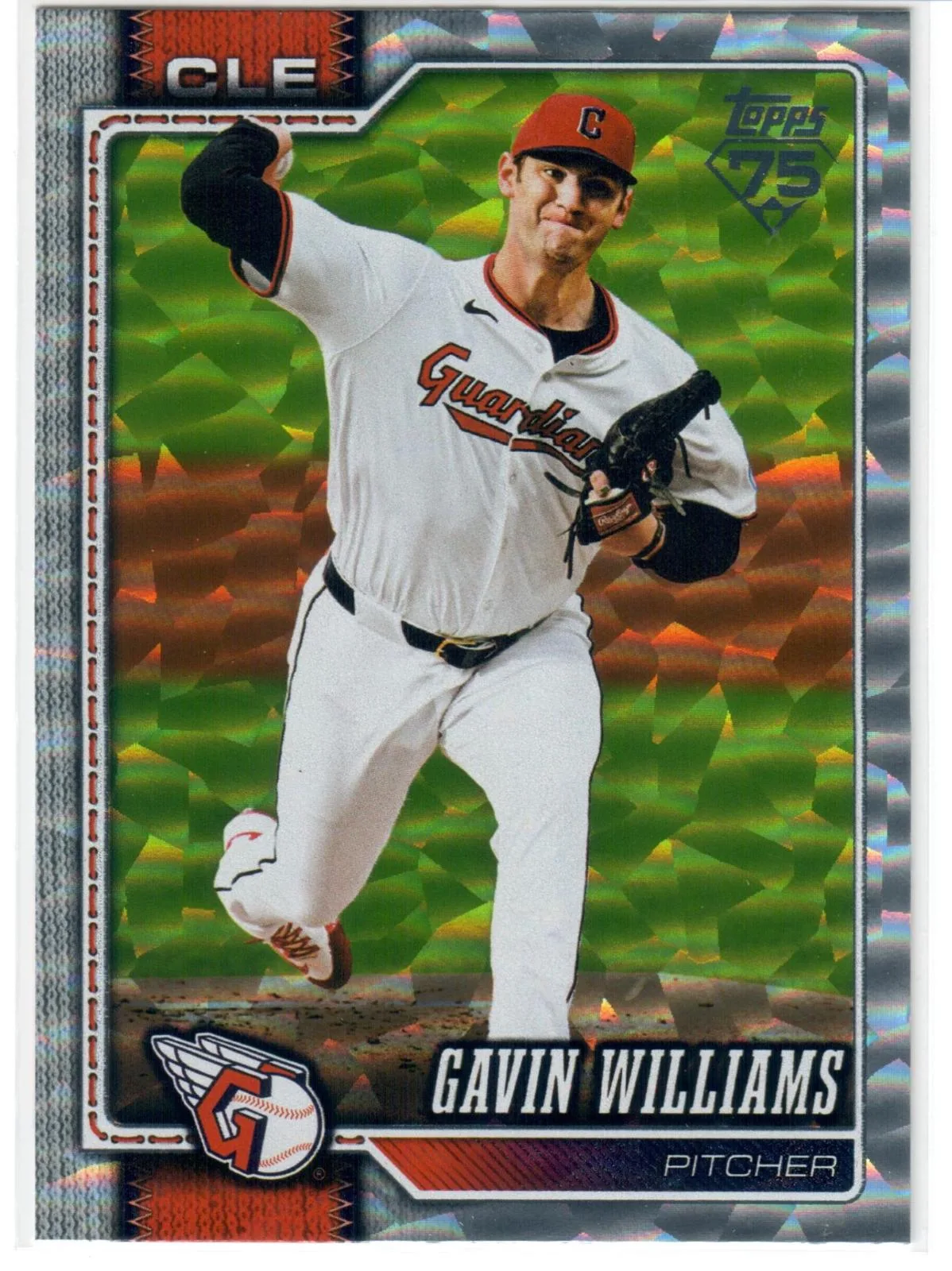 Gavin Williams #254