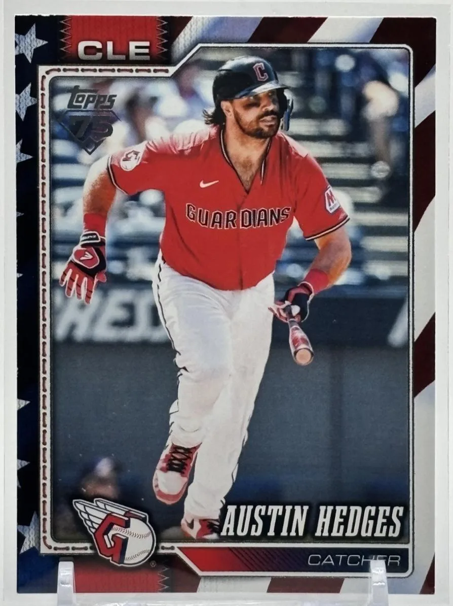 Austin Hedges #545