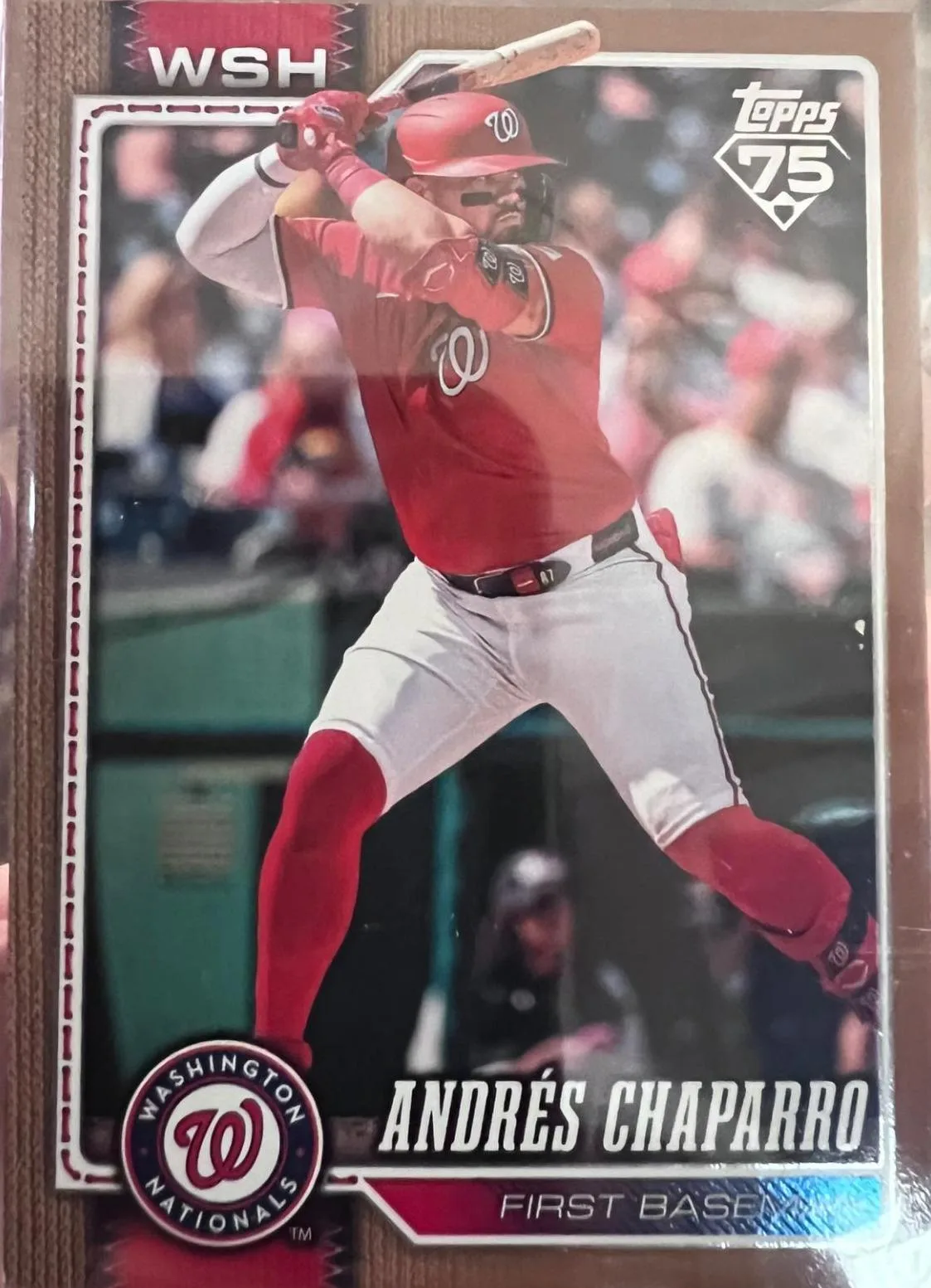 Andres Chaparro #462