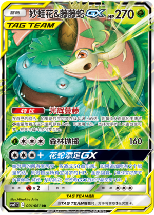 Venusaur & Snivy GX