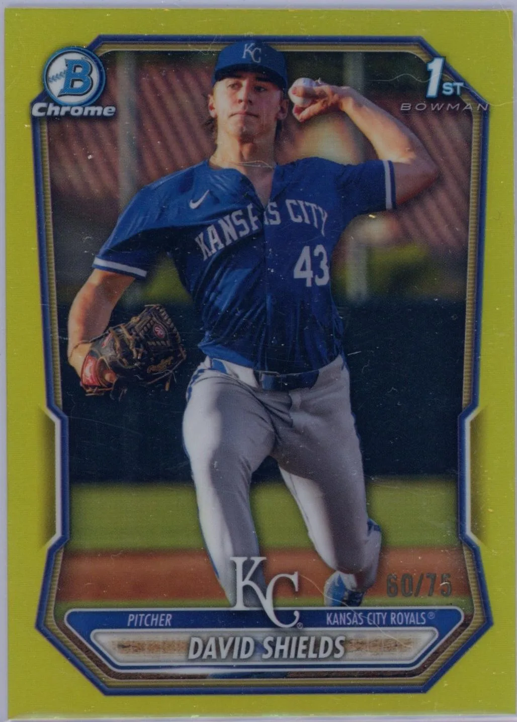 David Shields #BCP-11