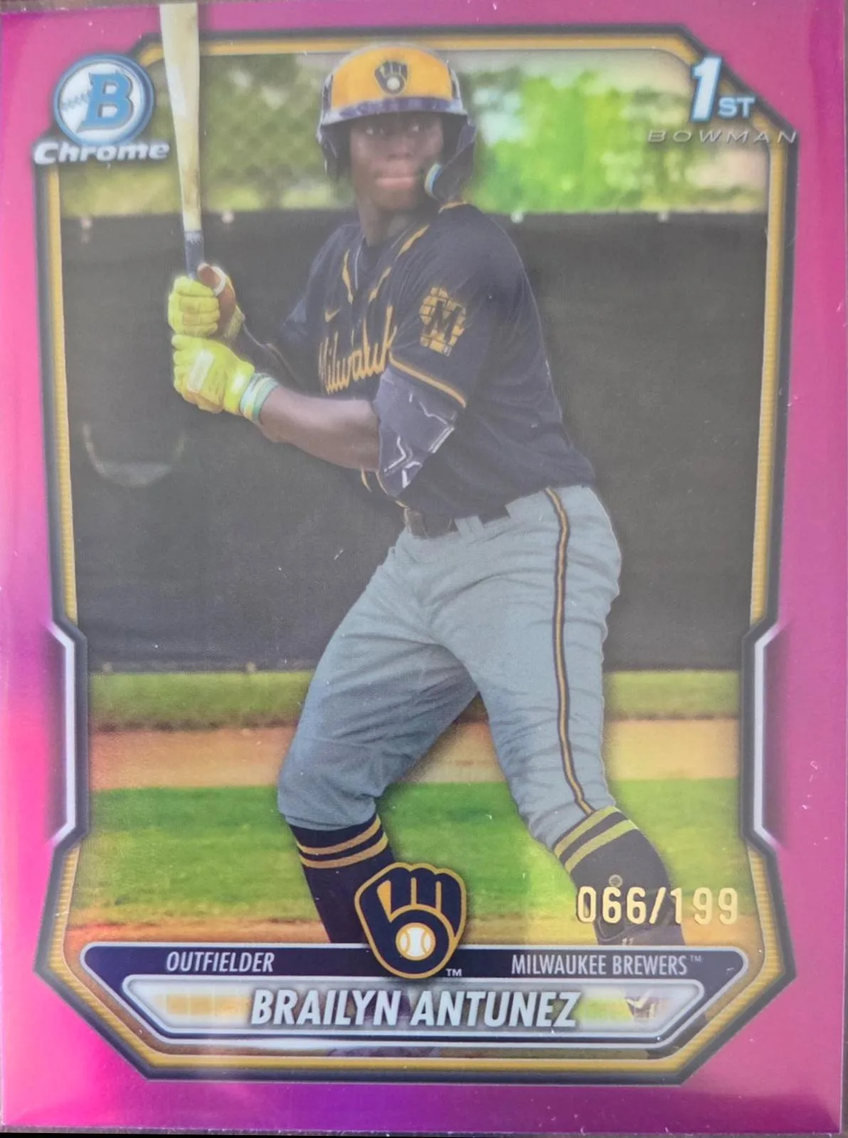 Brailyn Antunez #BCP-41