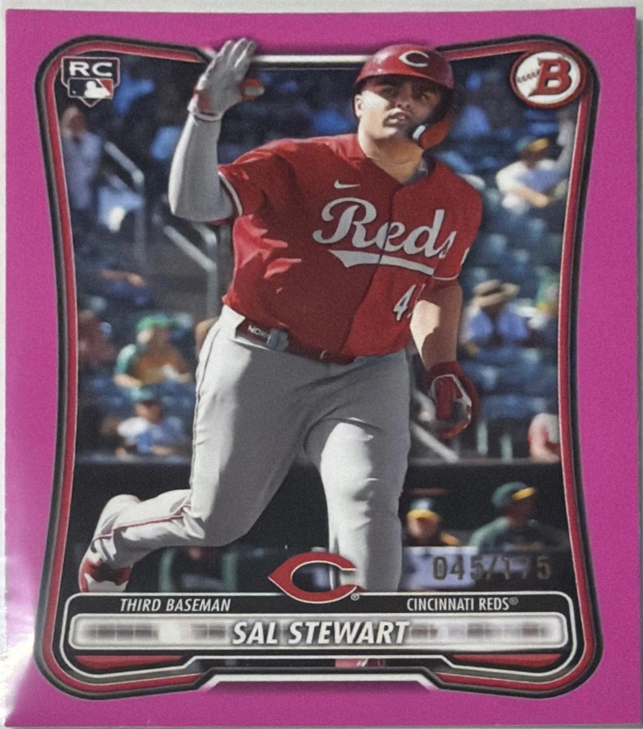 Sal Stewart #6