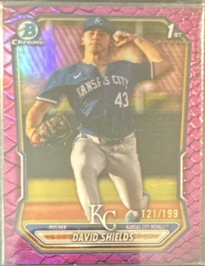 David Shields #BCP-11