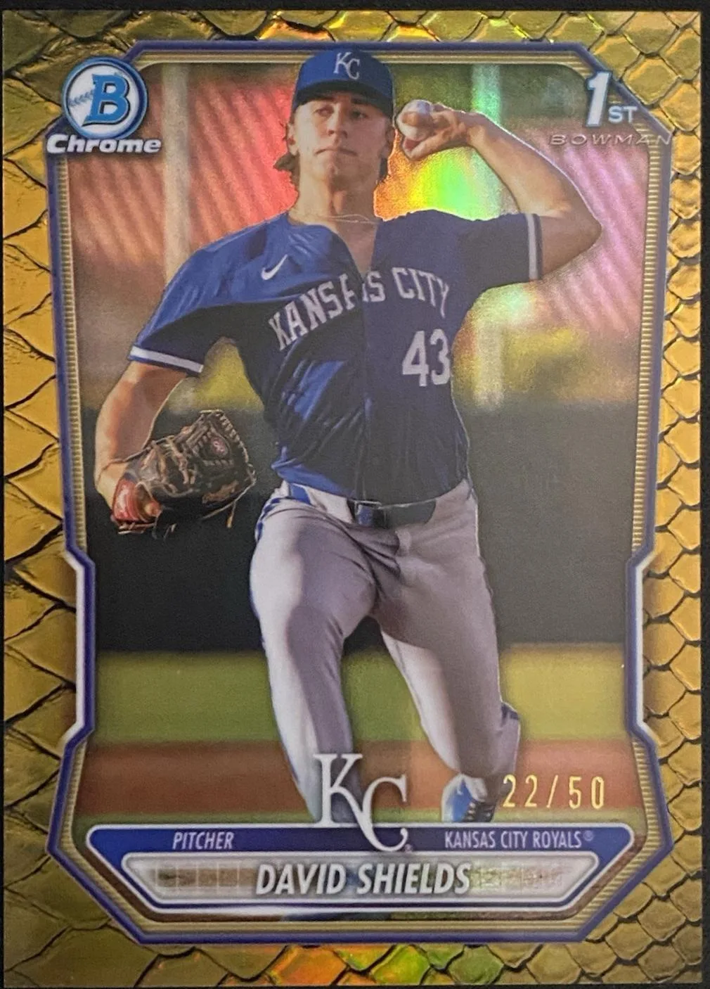 David Shields #BCP-11