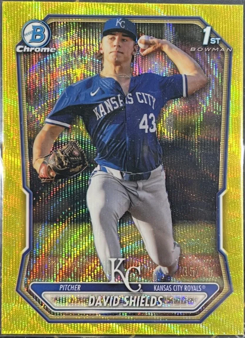 David Shields #BCP-11