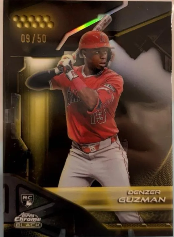 Denzer Guzman #69