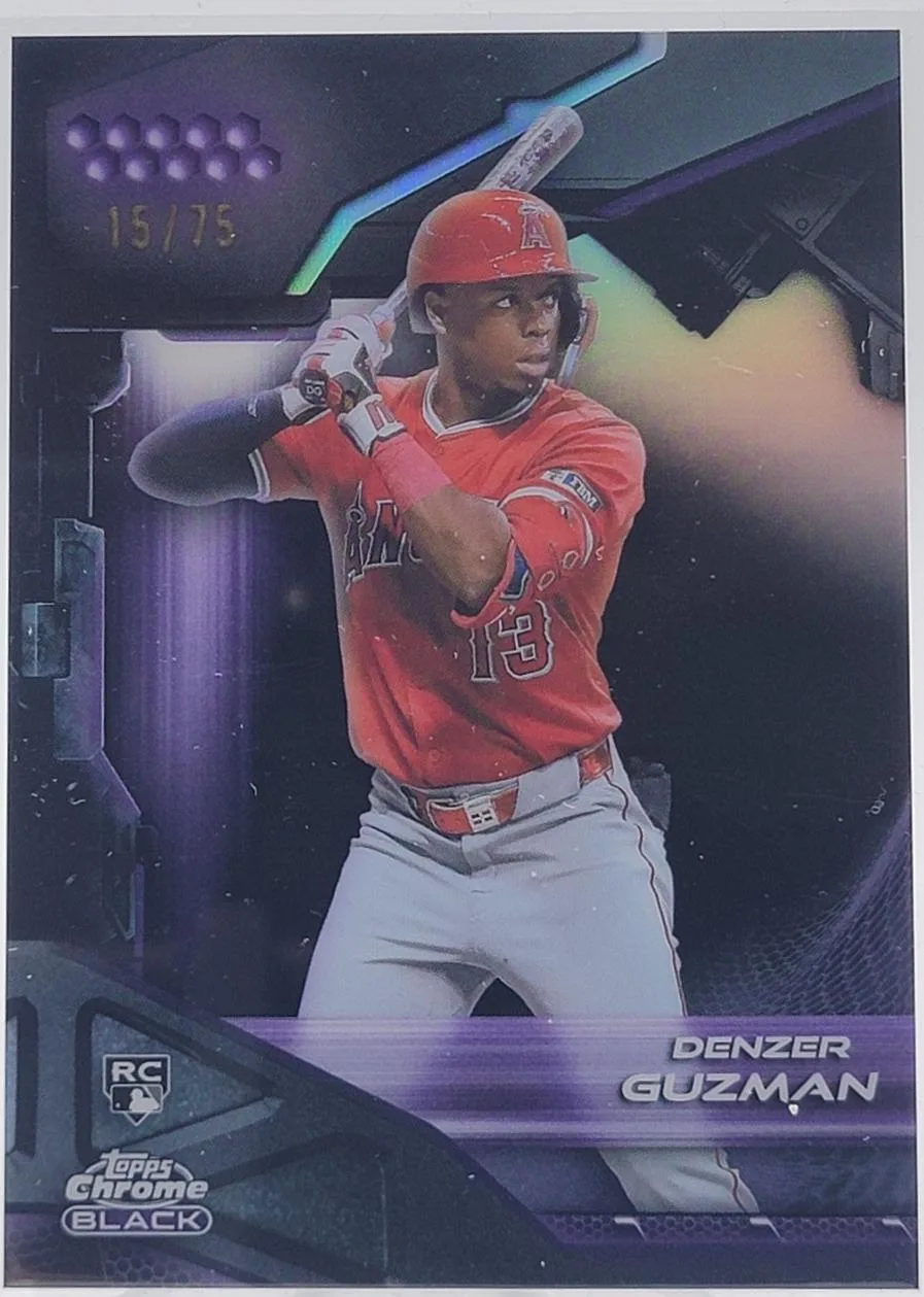 Denzer Guzman #69