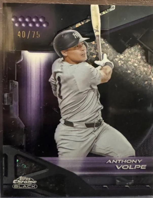 Anthony Volpe #103