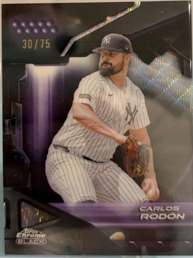 Carlos Rodon #165