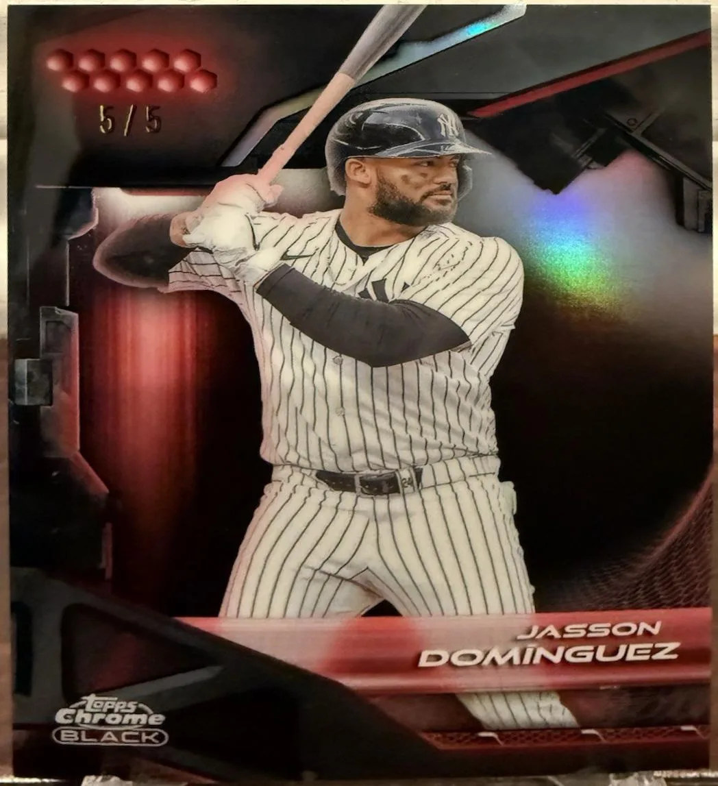 Jasson Dominguez #110