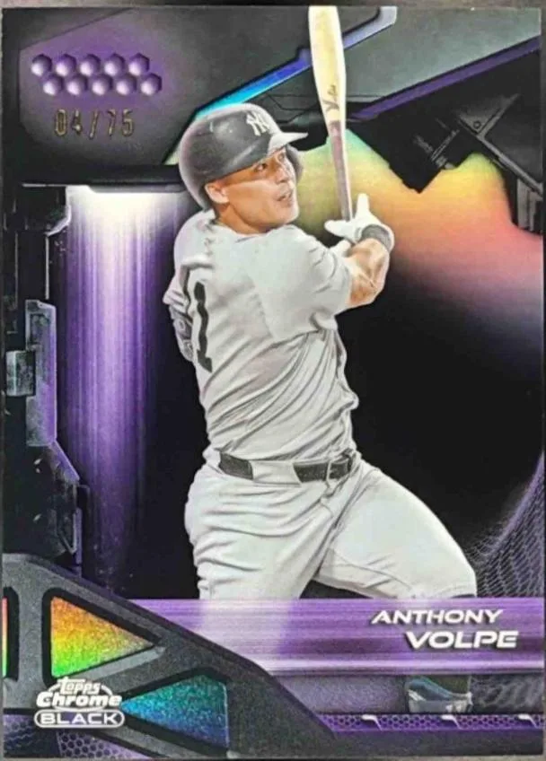 Anthony Volpe #103