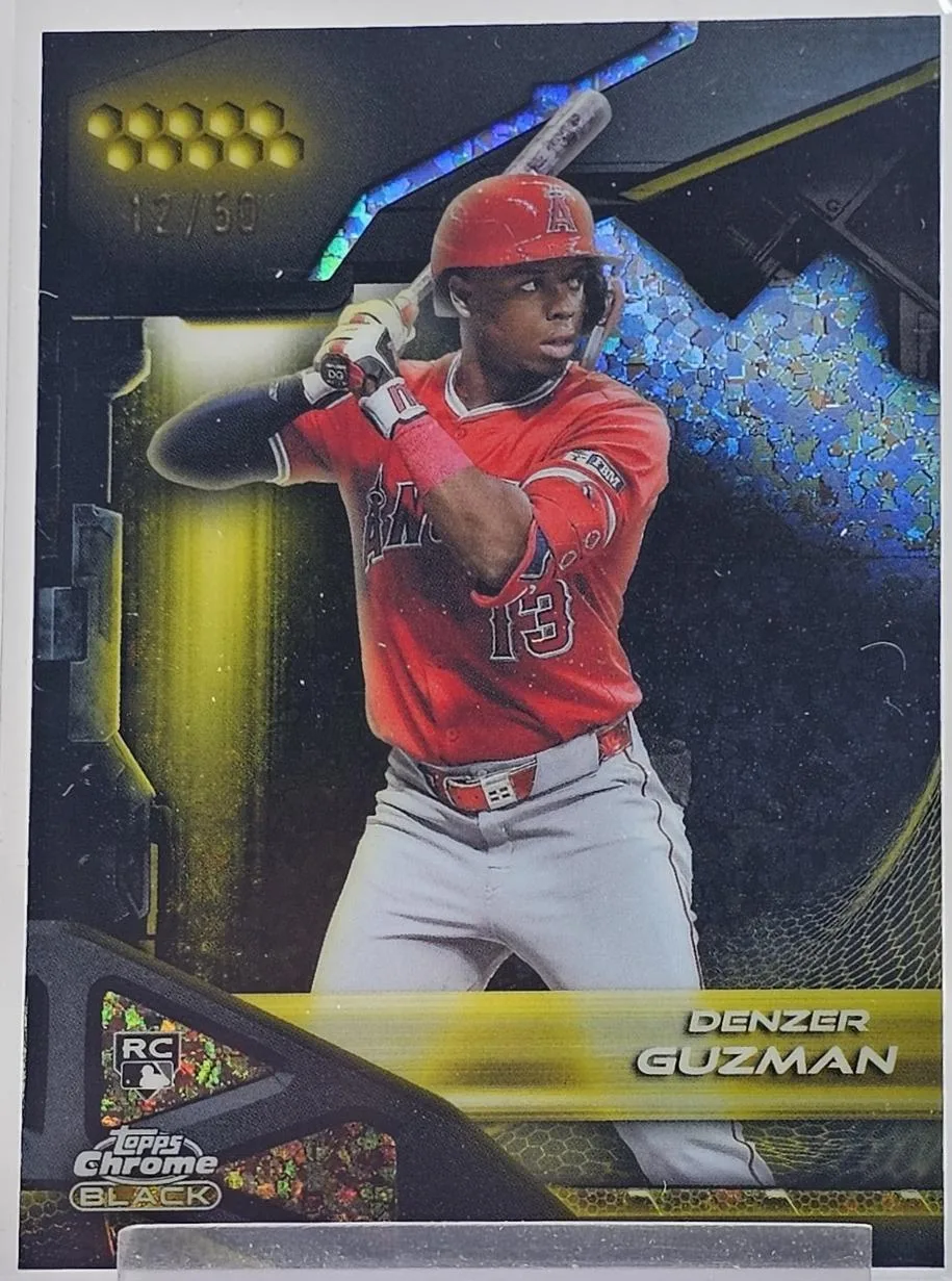 Denzer Guzman #69
