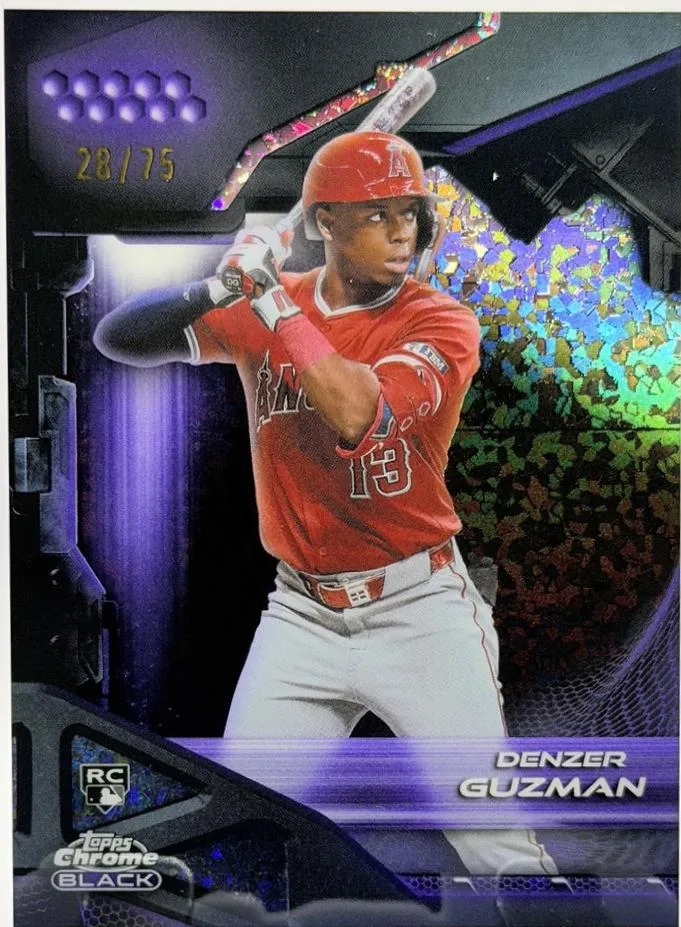 Denzer Guzman #69