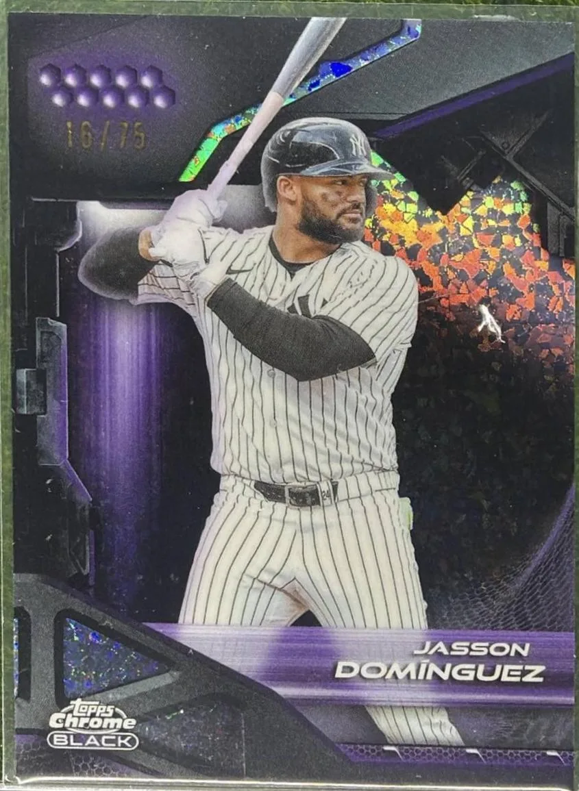 Jasson Dominguez #110