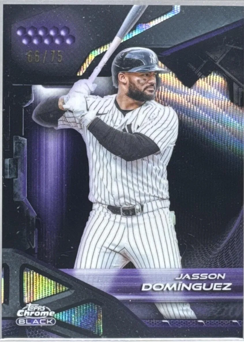 Jasson Dominguez #110