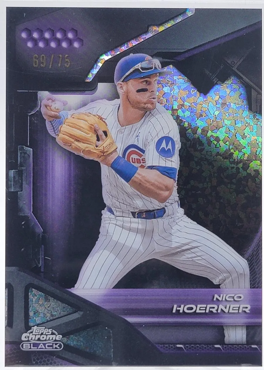 Nico Hoerner #175