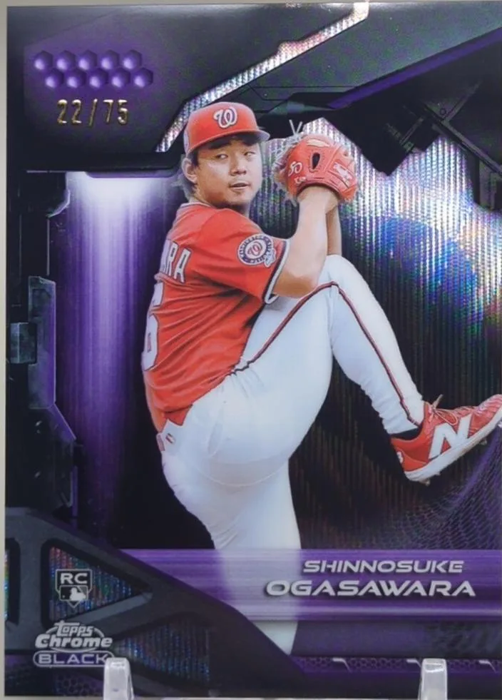 Shinnosuke Ogasawara #143