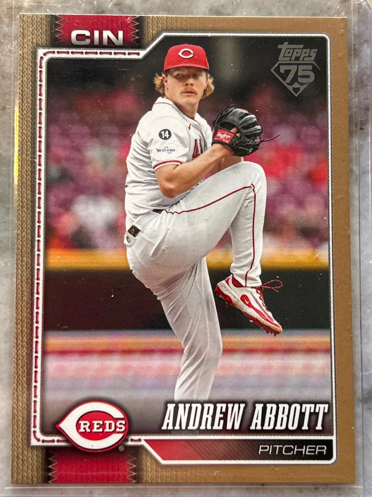 Andrew Abbott #218