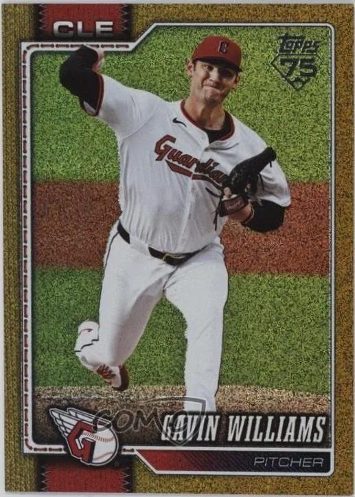Gavin Williams #254