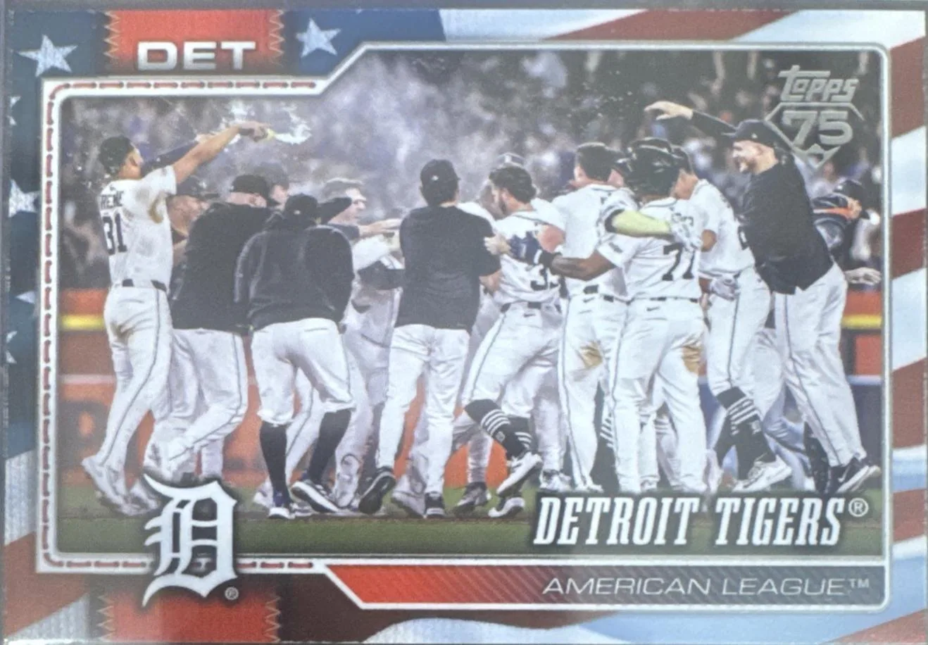 Detroit Tigers #262