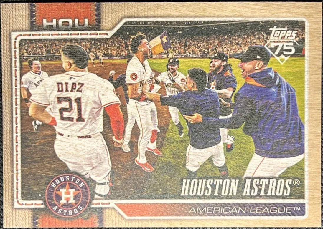 Houston Astros #89