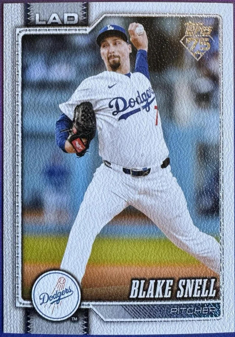 Blake Snell #340