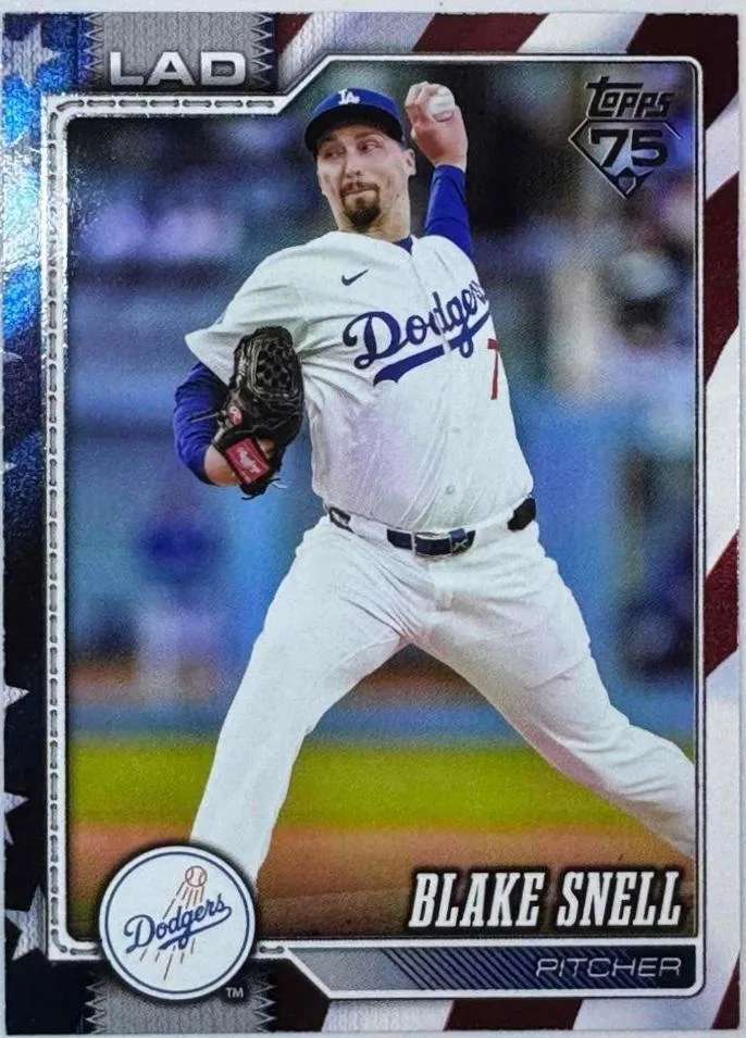 Blake Snell #340