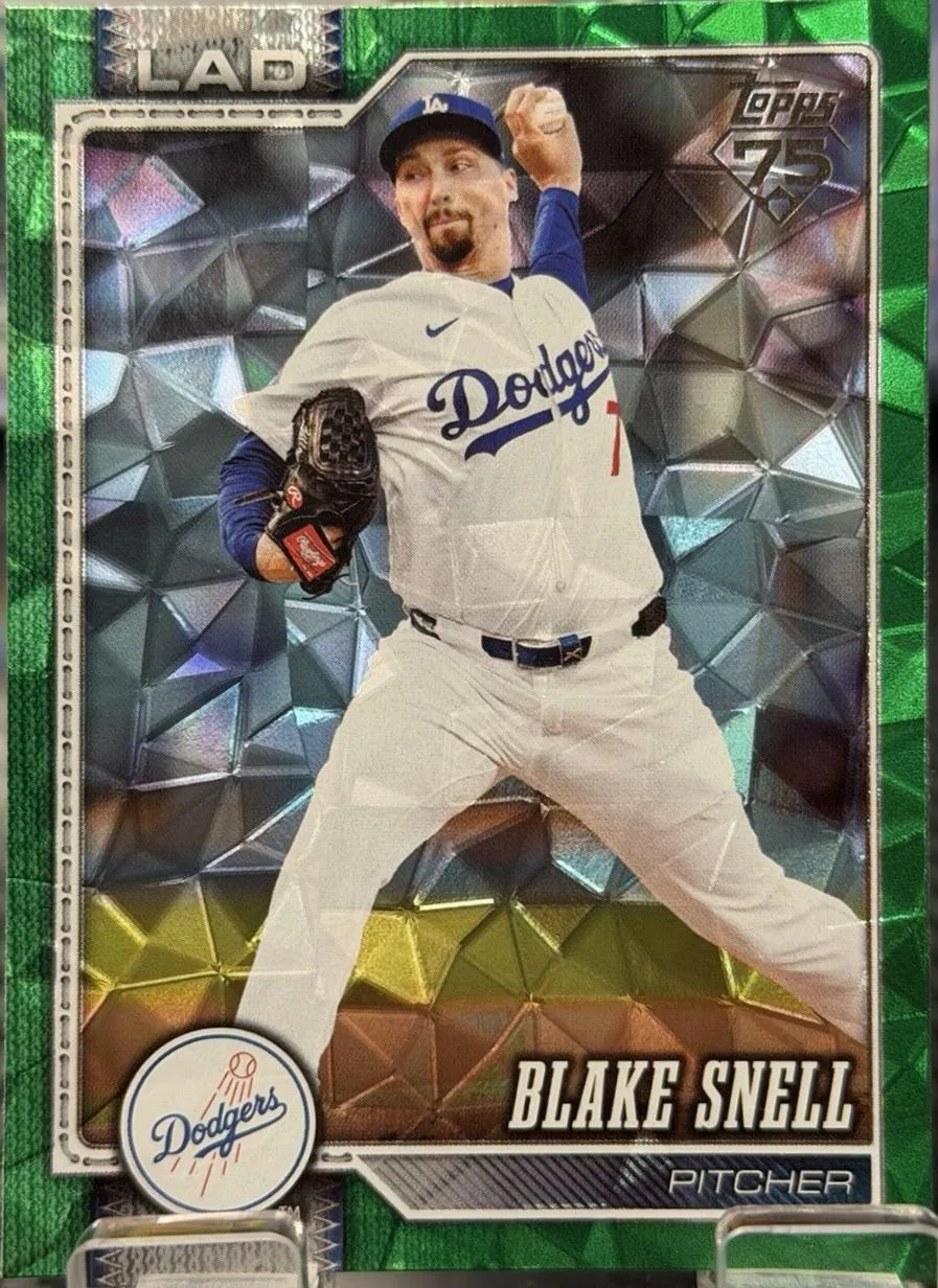 Blake Snell #340