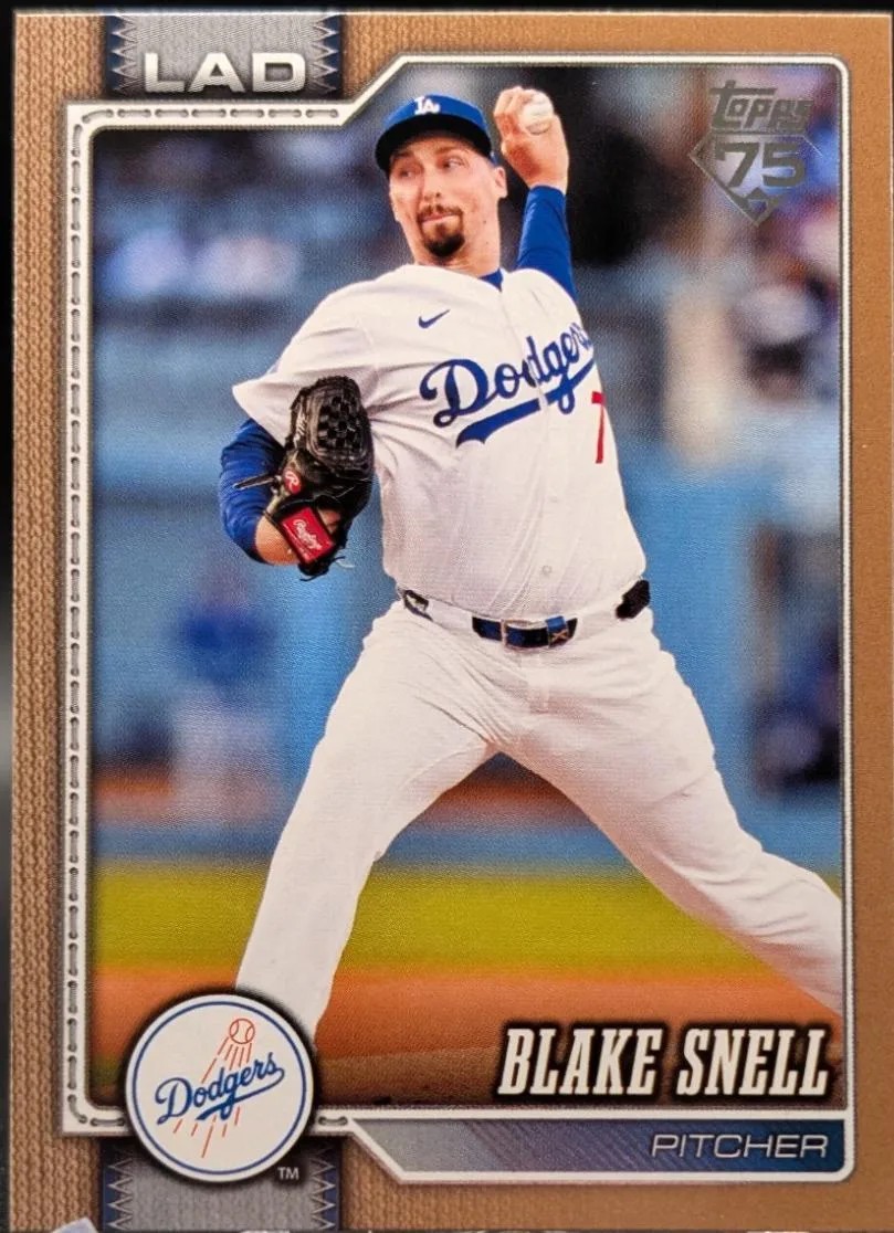 Blake Snell #340