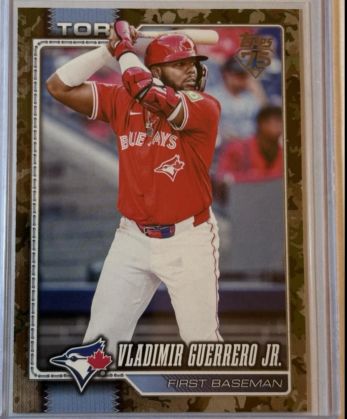 Vladimir Guerrero Jr. #20