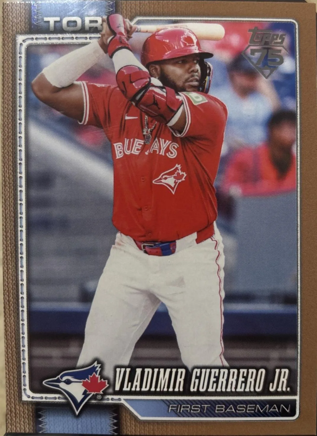 Vladimir Guerrero Jr. #20