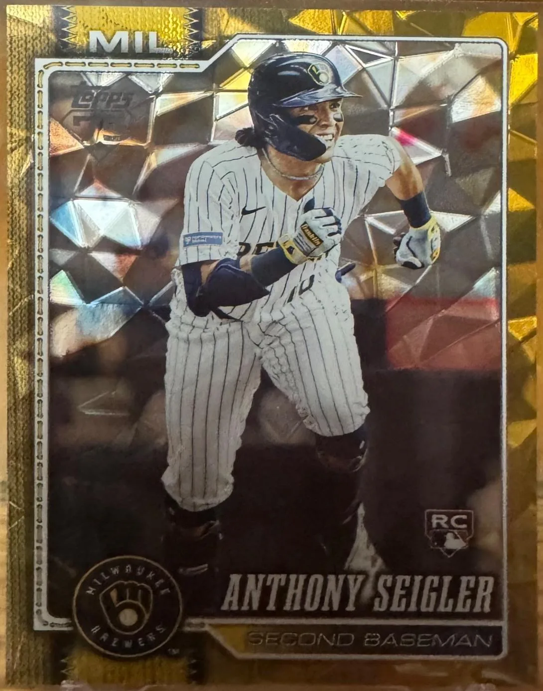 Anthony Seigler #286