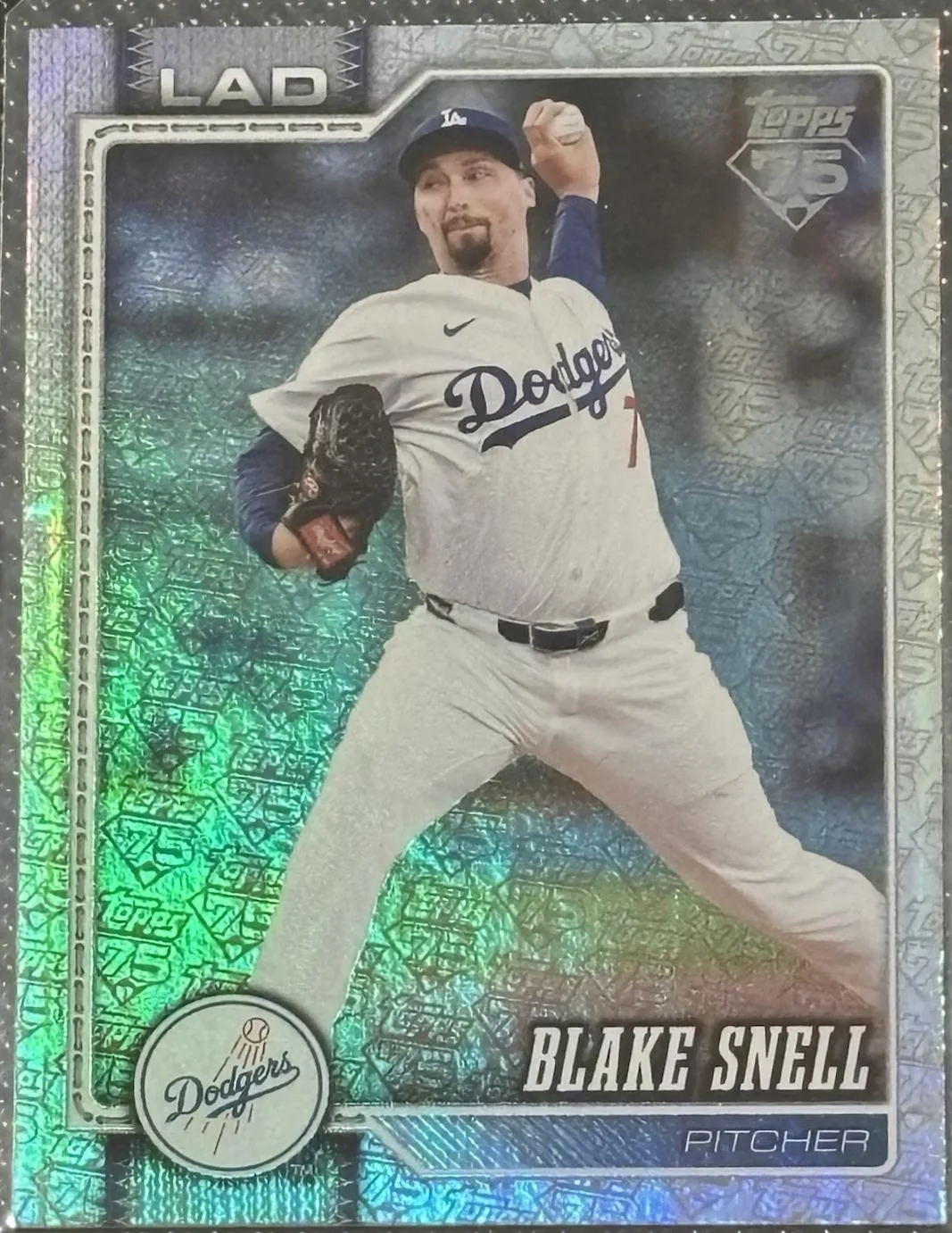 Blake Snell #340