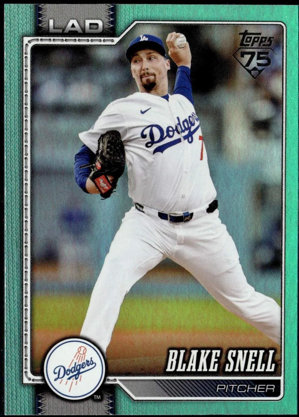Blake Snell #340