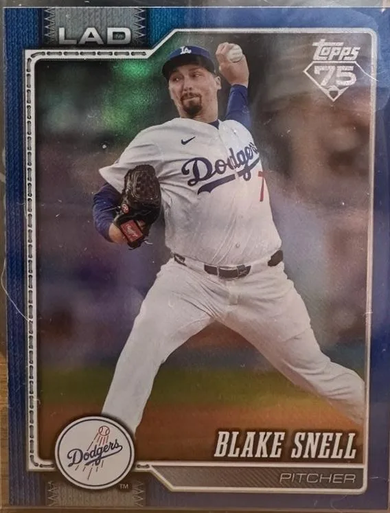 Blake Snell #340