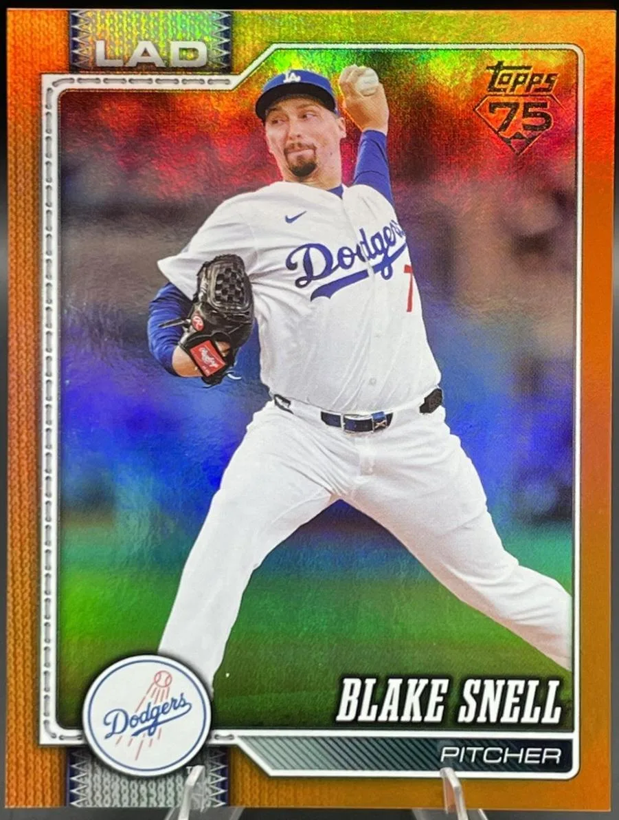 Blake Snell #340