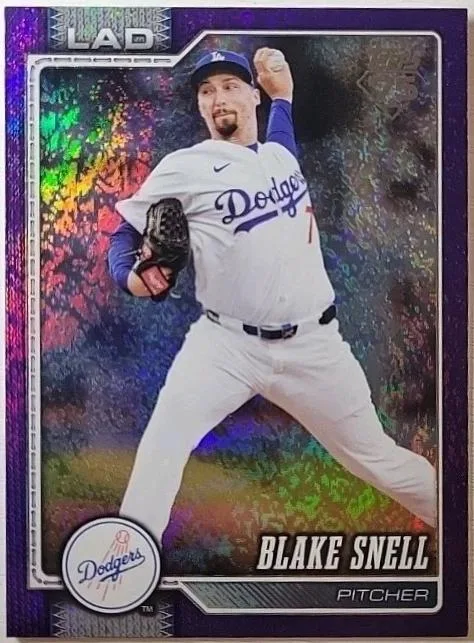 Blake Snell #340