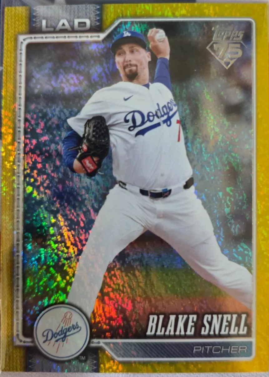 Blake Snell #340