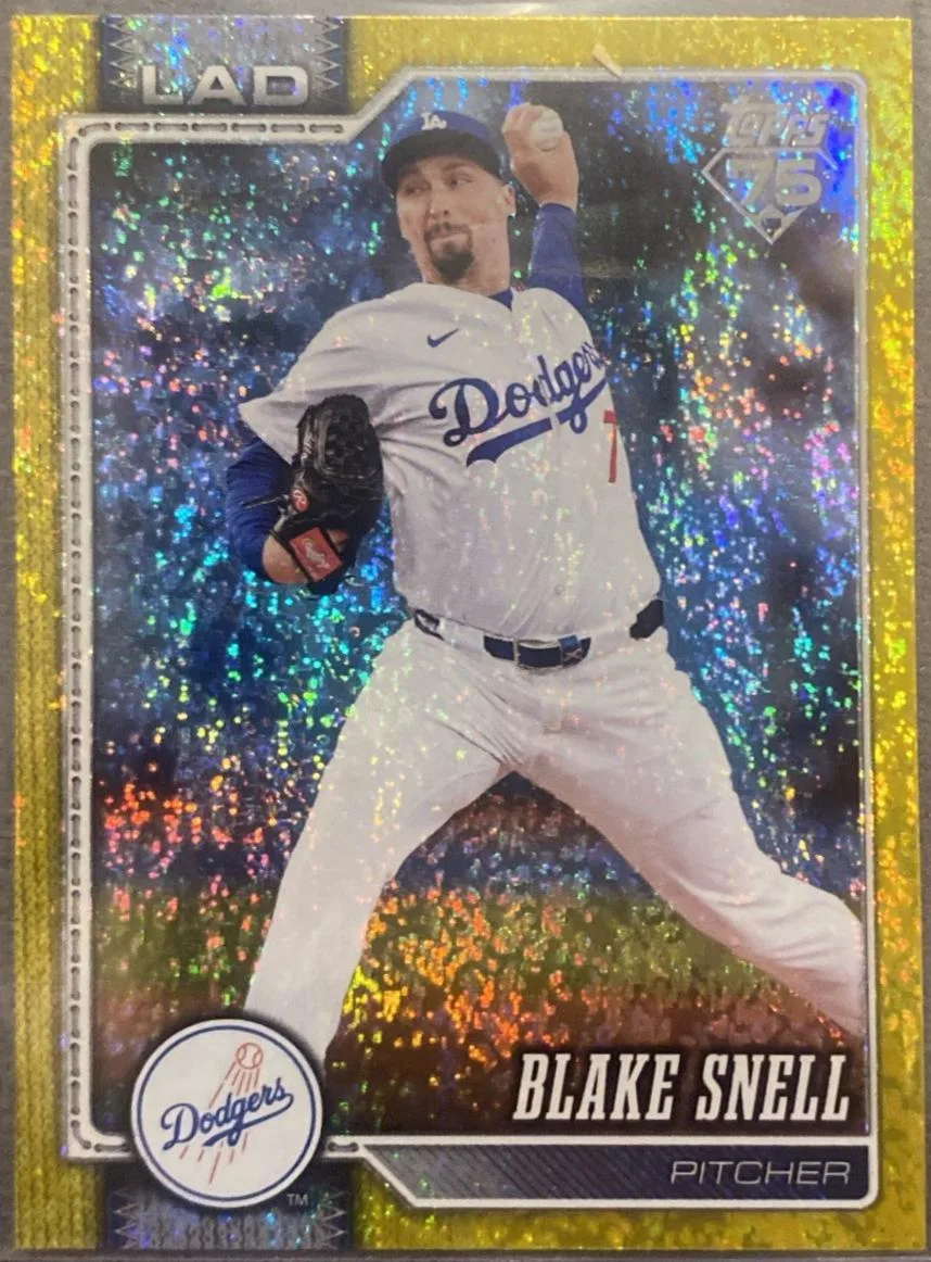 Blake Snell #340