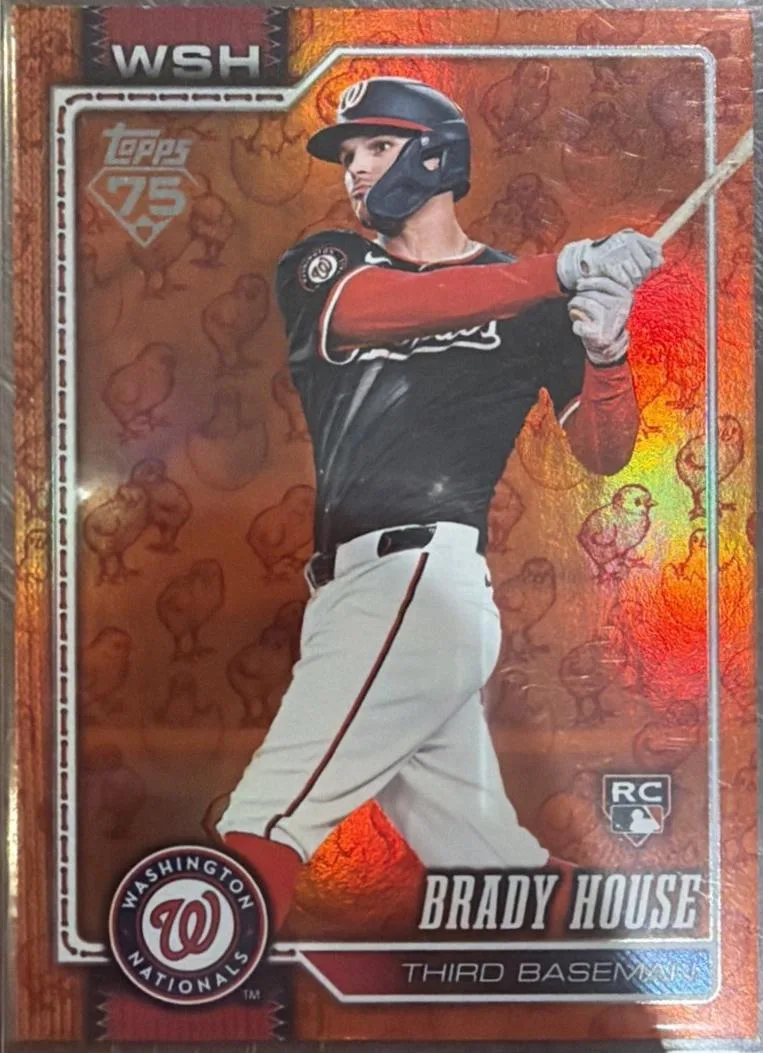 Brady House #170