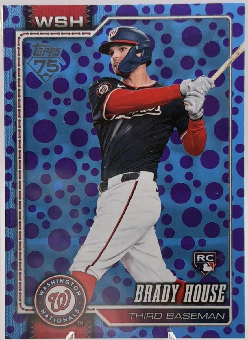 Brady House #170