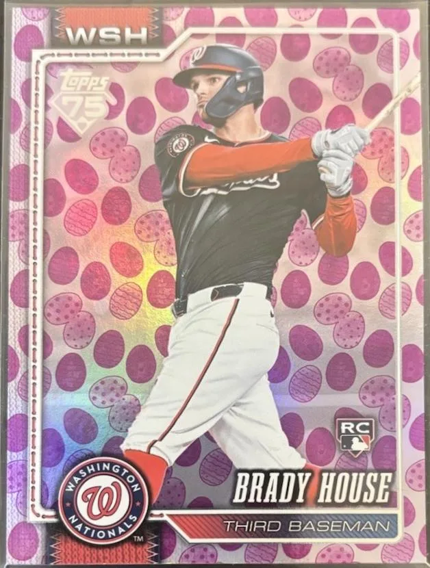 Brady House #170