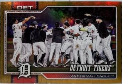 Detroit Tigers #262