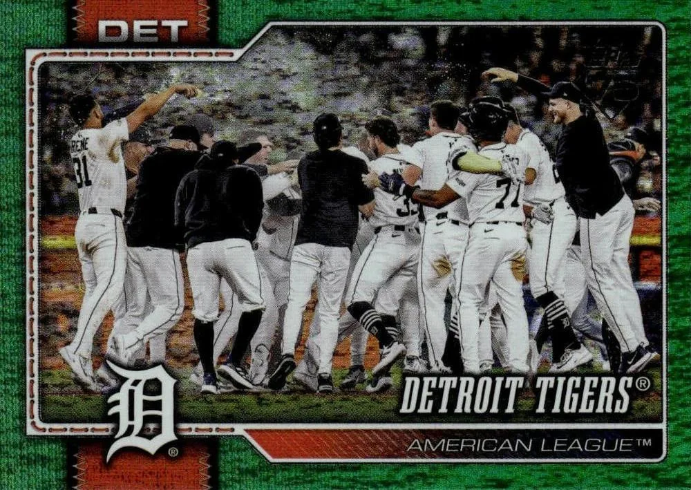Detroit Tigers #262