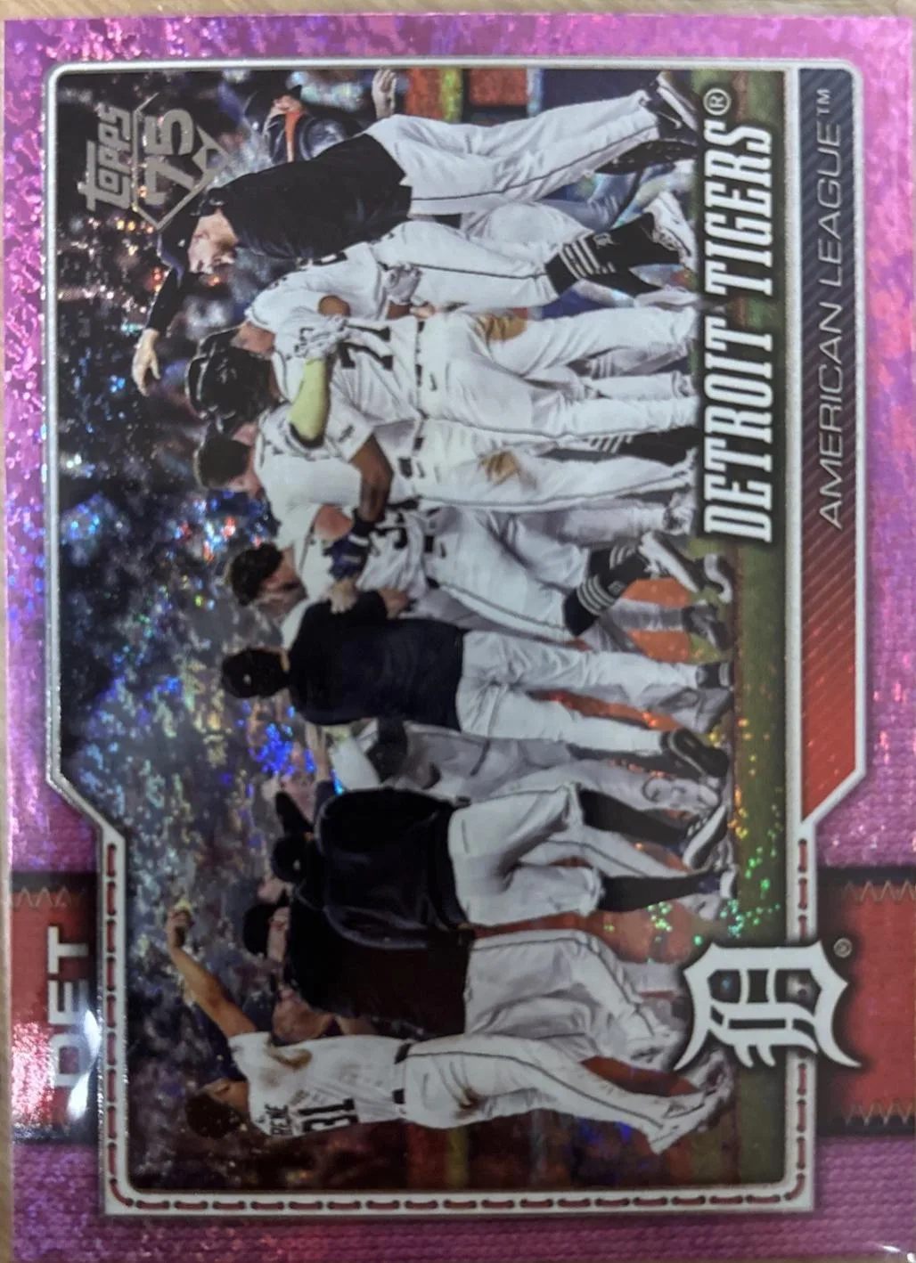 Detroit Tigers #262